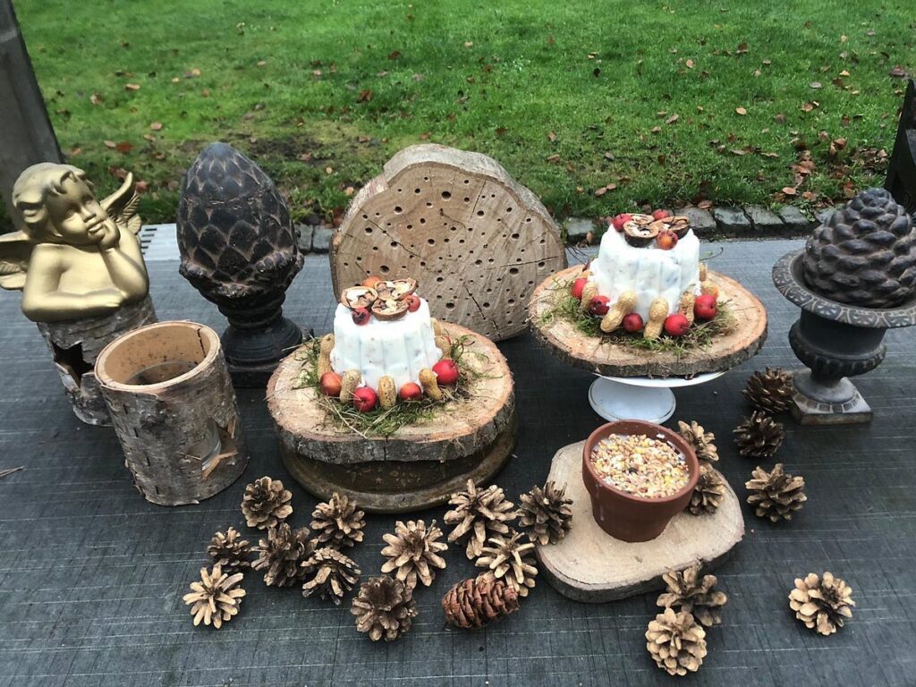 Natuurtuin-'t-Loo-voedertafel-maken